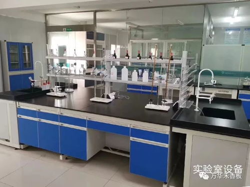 學習專業技能，提升服務水平，助力客戶2020再創新高